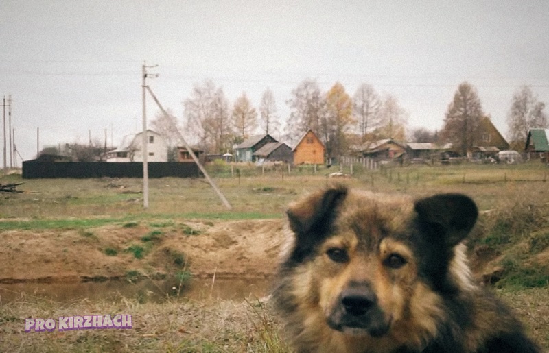 Деревня Фёдоровское ул.Бобкова