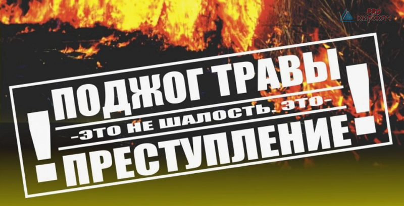 Пал сухой травы г.Киржач