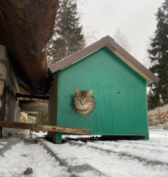 Киржач - Кошкин домик